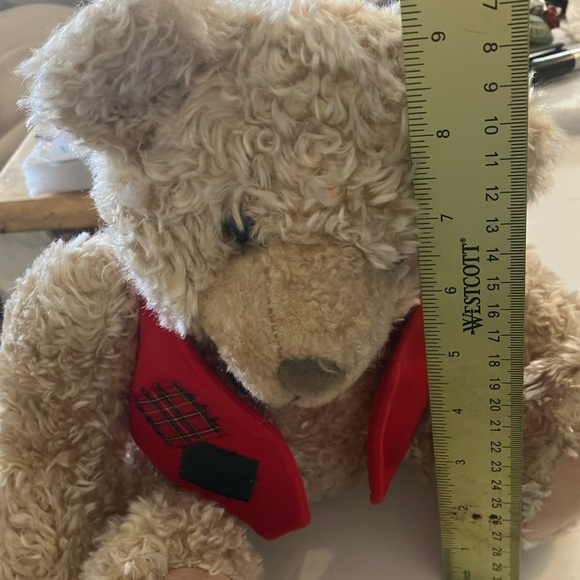 Dapper looking bear - Picture 4 of 4